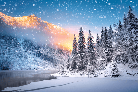 Winterlandschap met sneeuw in een bos en een skigebied